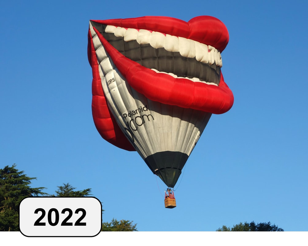 Gouverneur Huh wasserette Bristol Special Shape Hot Air Balloons