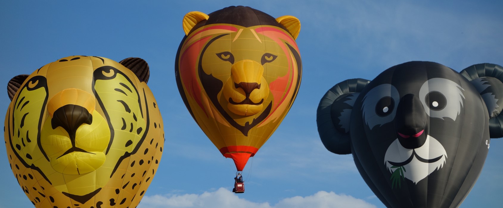 Sky Safari Special Shape Hot Air Balloons